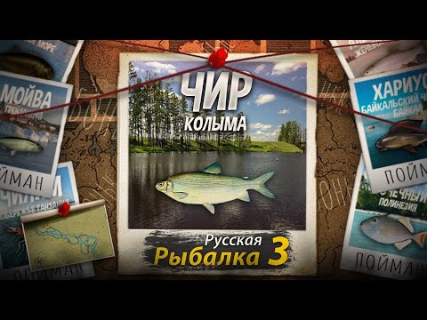 Видео: "Мутант" Чир. Колыма. Русская Рыбалка 3.