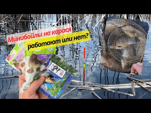 Видео: Рыбалка в самых дебрях на КАРАСЯ. МИНИБОЙЛЫ на карася.