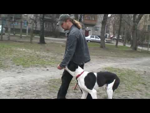 Видео: команда Рядом часть первая