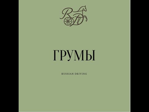 Видео: Третий не лишний. Кто такие грумы в драйвинге?