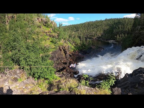 Видео: Июль 2024 г. Часть 3. Кутсайоки и Тумча.