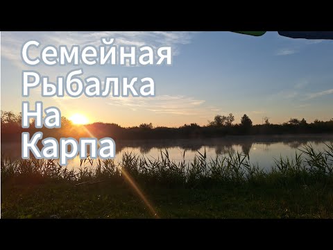 Видео: Семейная рыбалка на карпа. Ловля на Флэт. УДАЧА!