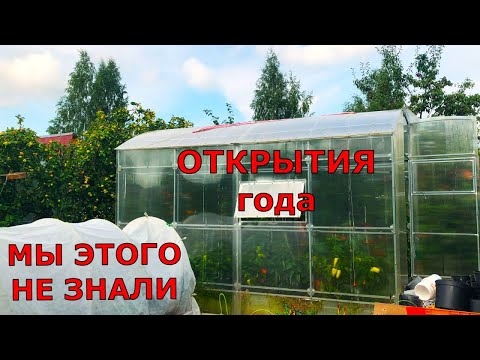 Видео: Новый практический опыт этого года в огороде