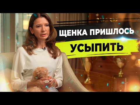 Видео: Как выбрать микро щенка? Проблемы маленьких собак.