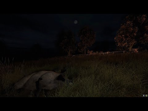 Видео: DAYZ 1.22 ВЫЖИВАНИЕ #2 | Старт с нуля | Берег | NFR | PVE | PVP ZONE TISY-SKALISTY | VANILLA NO MOD