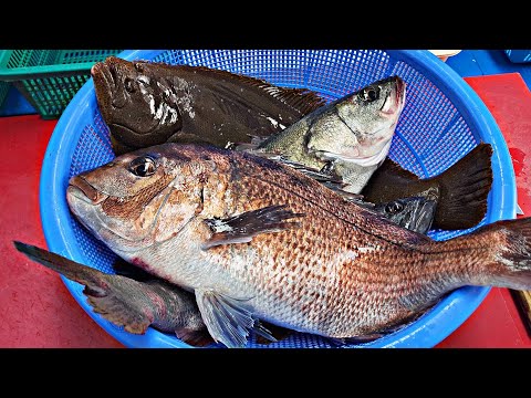 Видео: Свежая и вкусная рыба.  Корейские сашими.