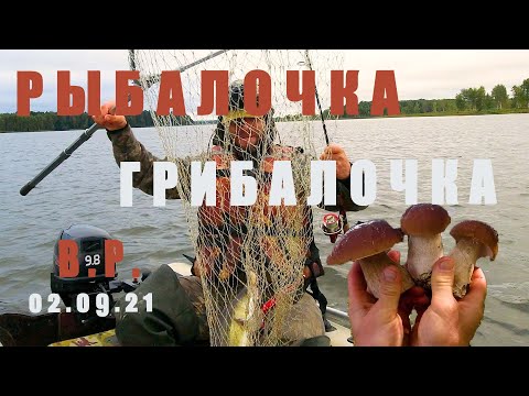 Видео: РЫБАЛКА и ГРИБАЛКА на ВЕРХНЕРУЗСКОМ вдхр ! Незнание ФИЗИКИ оставило без ОБЕДА :) Судак на джиг!