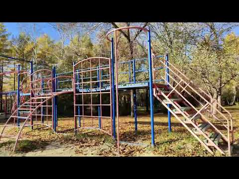 Видео: Осень