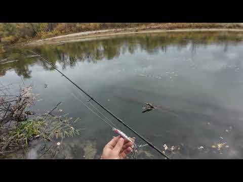 Видео: "На палку" Большое путешествие по реке Хопер