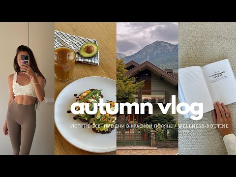 Видео: VLOG 11: уютная осень В Красной Поляне / work-life-balance / рутина / тренировки / друзья