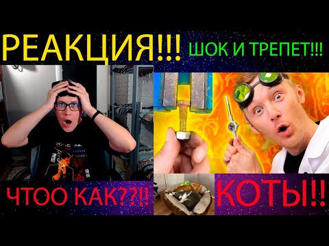 Видео: КАК УСЛОЖНИТЬ ПРОСТОЕ | ДОКТОР ДЬЮ / РЕАКЦИЯ НА @doctordiy