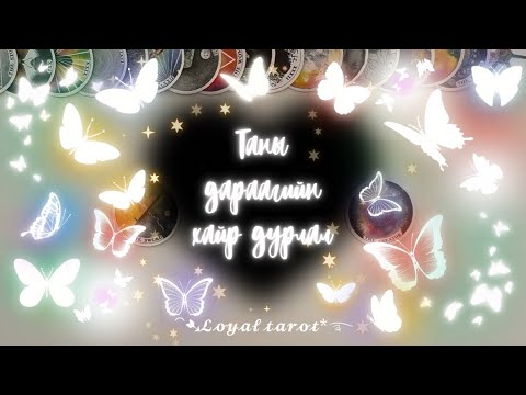 Видео: 🩵✨🫧 Таны дараагийн хайр дурлал ямар байх вэ? 🫧✨🩵 /Нэмэлттэй/ 