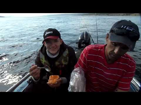 Видео: Ангара.  Немного рыбалим хариуса.