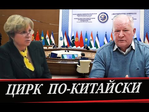 Видео: Система и Антисистема, но хозяин один  \\  Как управляют стадами (М. Хохлова и В. Задерей)