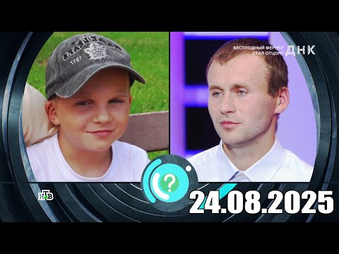 Видео: ДНК . Выпуск от 24.08.2025 - «Бесплодный фермер стал отцом » - Передачи НТВ - ДНК 2025
