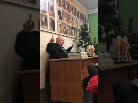 Видео: Цигельницкий Е. Семинар в "КЕННЕЛ КЛУБЕ" Санкт-Петербурга, 28.01.2020г.