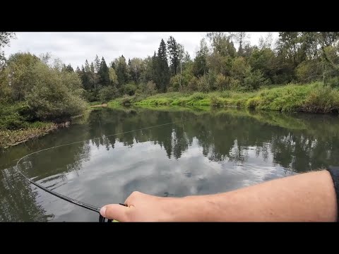 Видео: Рыбалка на щуку в начале осени   активность уже радует