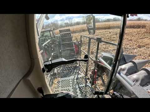 Видео: Урожай кукурузы 2025 года: взгляд с поля. Открытие поля в действии. 2 комбайна.