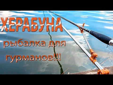 Видео: ХЕРАБУНА!!! Распаковка посылки.