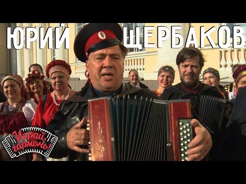 Видео: Играй, гармонь! | Юрий Щербаков (г. Волгоград) | Прости-прощай...