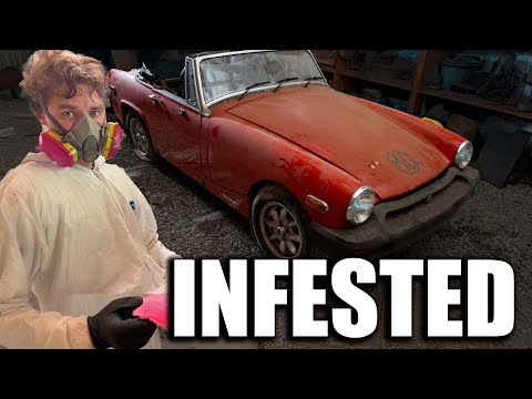 Видео: Детейлинг зараженного классического спортивного автомобиля: худшее, что я когда-либо находил