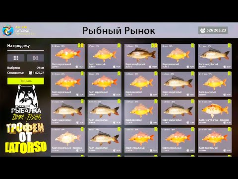 Видео: Русская рыбалка 4. 🎣 оз. Янтарное 🐳🐋🐳...💦 ТРОФЕИ от LATORSO 👀