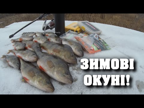 Видео: ✔️ЯКІ місця не ВАРТО минати!🎯 Зимовий СПІННІНГ на річці❄️/ОКУНЬ