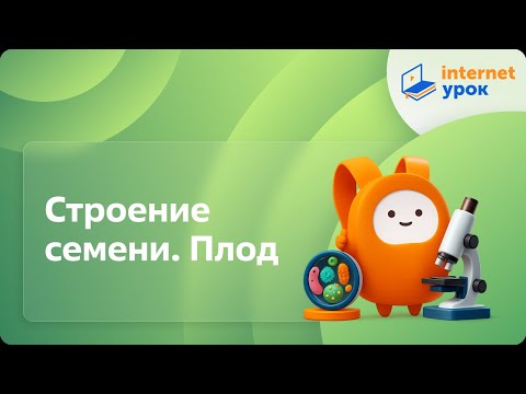 Видео: Биология 6 класс. Строение семени. Плод