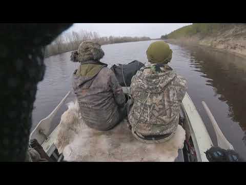 Видео: Охота на утку в Якутии. Весна. Duck hunting for river Lena