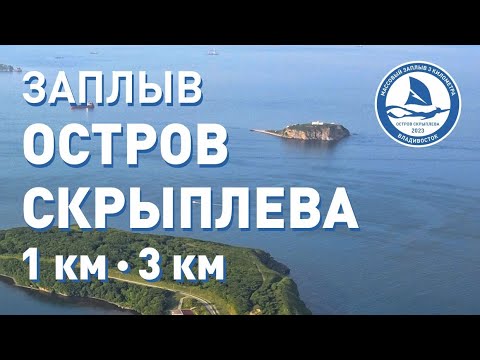 Видео: Заплыв "Остров Скрыплева 2023" 3 км во Владивостоке