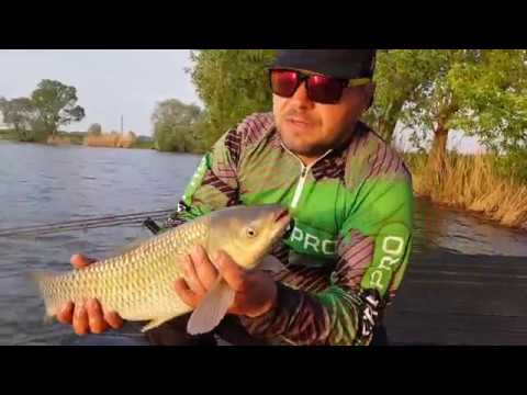 Видео: Рыбалка озеро Вовкове часть 2