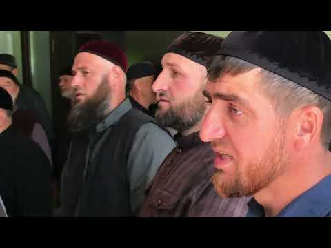 Видео: 31 мая 2025 г.