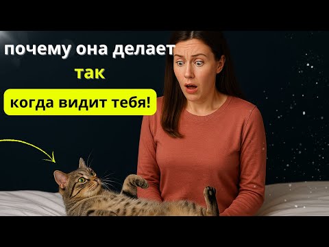 Видео: Кошка ложится на спину при виде вас - вот истинная причина!