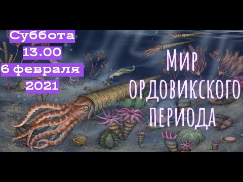 Видео: Ордовикский период