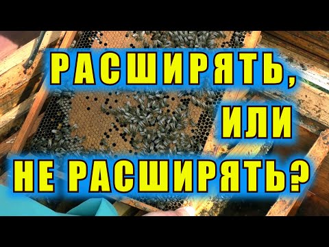 Видео: РАСШИРЯТЬ, ИЛИ НЕ РАСШИРЯТЬ? ОСНОВНЫЕ ПРИЗНАКИ.