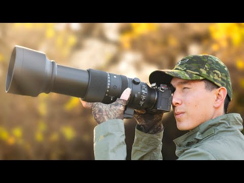 Видео: Обзор объектива Sigma 60-600mm для фотосъемки дикой природы и птиц