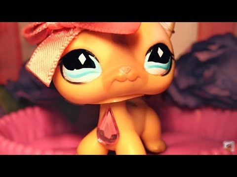 Видео: 💕LPS:Ошибки начинающих LPS-блогеров💕