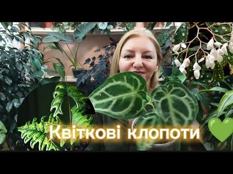 Видео: КВІТКОВІ КЛОПОТИ ВОСЕНИ 🍁💚🍂...