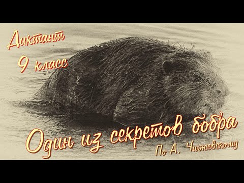 Видео: Диктант по русскому языку с проверкой! 9 класс. Один из секретов бобра #диктант9класс #диктант
