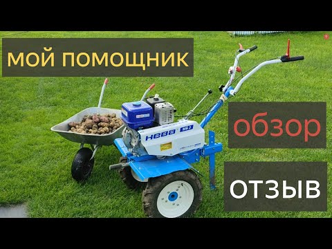 Видео: Мотоблок НЕВА МБ-2 ОБЗОР,ОТЗЫВ.МОЙ ПОМОЩНИК Нева МБ2 YAMAHA MX200 PRO МОТОБЛОК для ДАЧИ в ДЕРЕВНЕ.