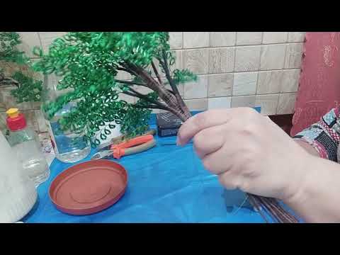 Видео: VID 20211208 232455 Березка. Часть 1.