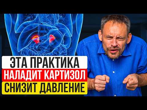 Видео: Высокое давление и стресс? Простые практики, которые снизят давление и уровень кортизола