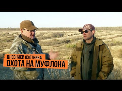 Видео: Охота на муфлона \ Дневники охотника