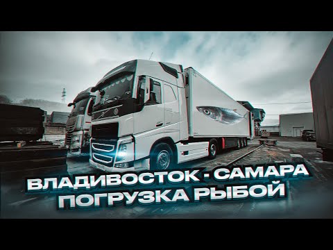 Видео: ВЛАДИВОСТОК – САМАРА ПОГРУЗКА РЫБОЙ
