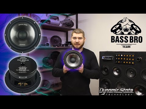 Видео: Обзор DYNAMIC STATE PRO PM-200.3 Сравнение с DST CUSTOM CM-20.2v2 и PRO PM-200.1