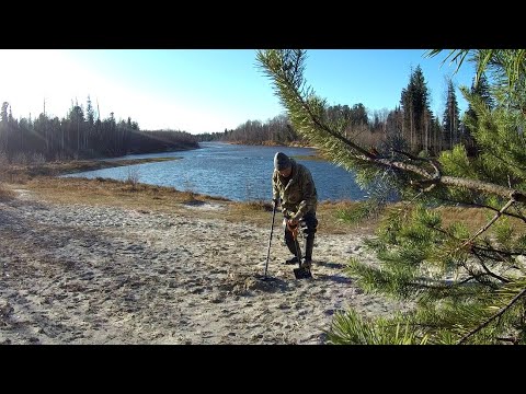 Видео: Старый забытый всеми  пляж не оставил без золота.