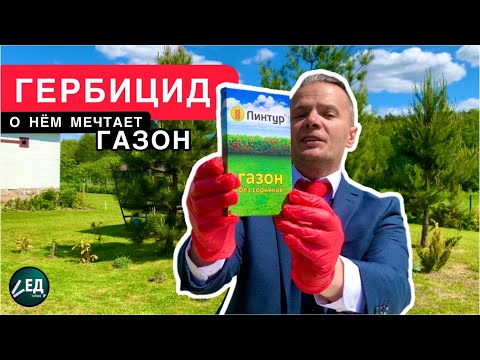 Видео: ГАЗОН БЕЗ СОРНЯКОВ избирательный гербицид ЛИНТУР