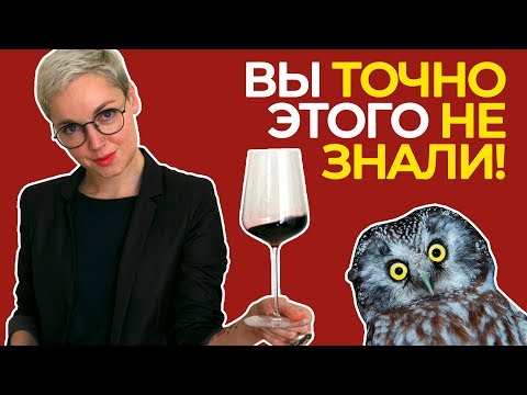 Видео: ТОП-11 вопросов сомелье! Крутые ФАКТЫ, интересные СОВЕТЫ, ЛАЙФХАКИ с вином!