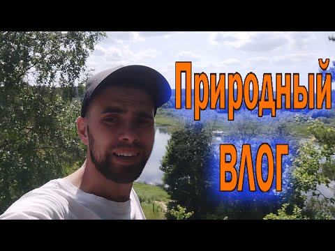 Видео: Природный ВЛОГ Июль 2023