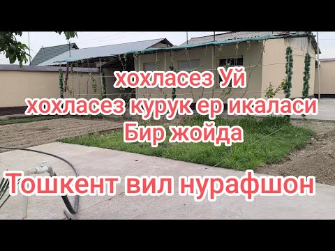 Видео: Хонадон сотилади Тошкент вил Нурафшонда ажойиб таклиф билан